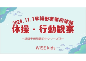 早稲田実業 予想的中③体操/行動観察テスト１